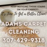 $75 Off Any Service Offered from Adams Carpet Cleaning