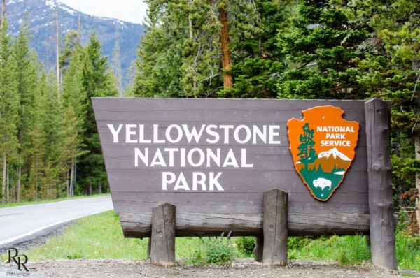 Yellowstone National Park Fire Danger: HIGH – Sheridan Media