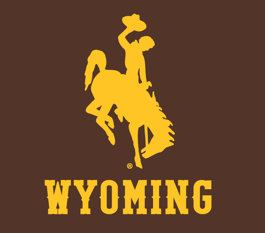 Wyoming Cowboy Football