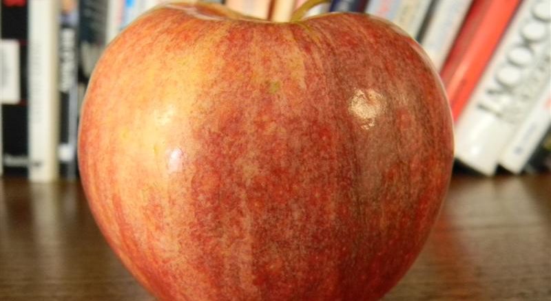 Apple (Medium)