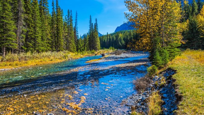 yellowstone