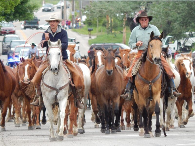 Eaton’s Ranch Cancels Horse Drive Sheridan Media