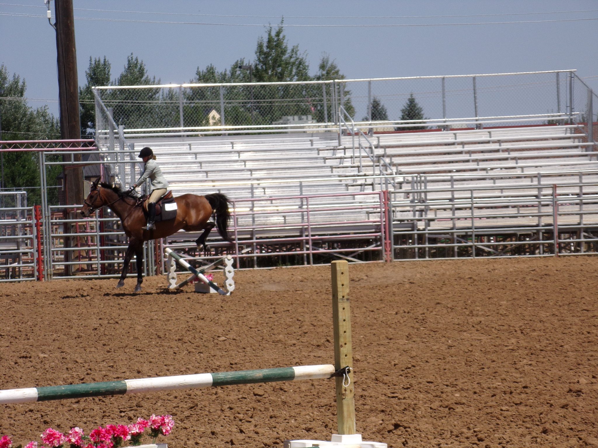 Horse shows continue at County Fairgrounds Sheridan Media