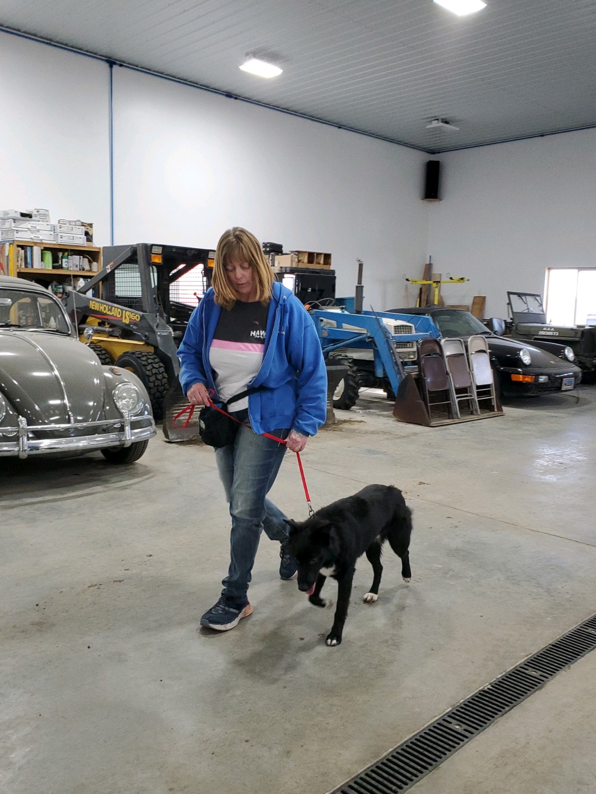 Hoot And Howl With The Sheridan Dog And Cat Shelter And The Unleashed