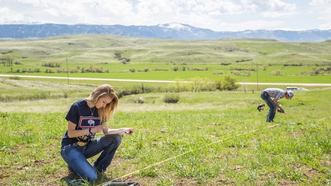 AG Rangeland Practicum 2018 217A9378djmedres
