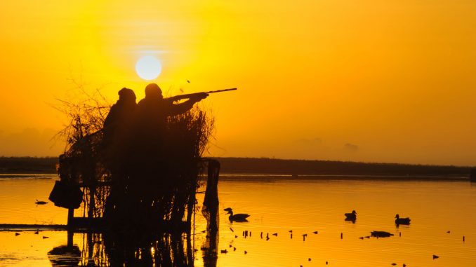 wyoming game and fish hunting draw results