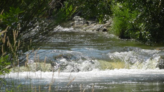 Big Goose Creek