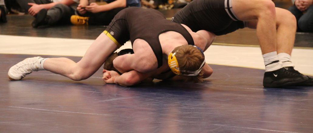 Generic Wrestling
