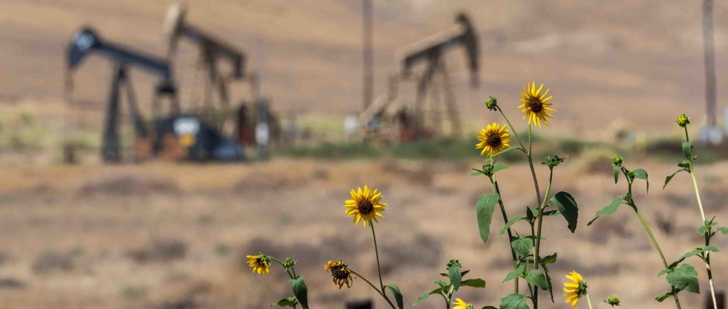 oil-pumpjacks-and-flowers-2048x1152
