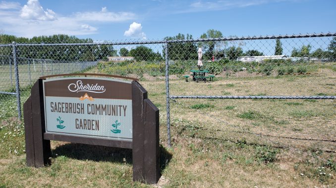 Sagebrush Community Garden Vandalized – Sheridan Media