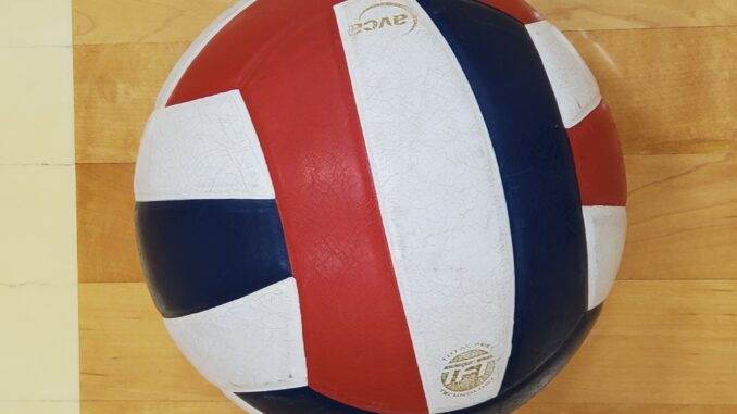 Generic Volleyball