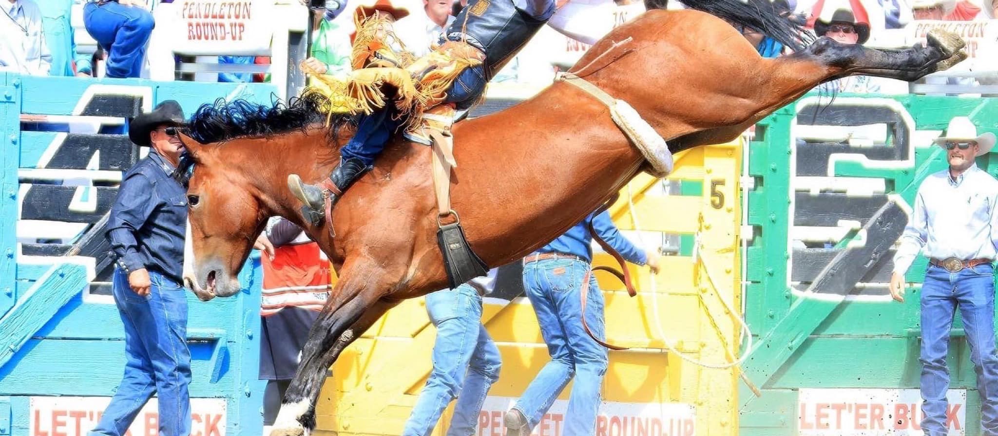 H O M E  Sankey Rodeo School United States