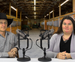 Best of the Rest Steer Riders program | Sheridan County Ag Update