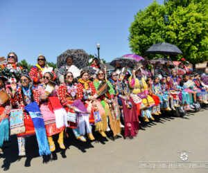 Rodeo Parade