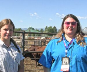 Trick Rider Piper Yule | Sheridan County Ag Update