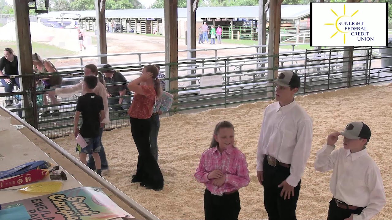 County Fair Sheridan Media