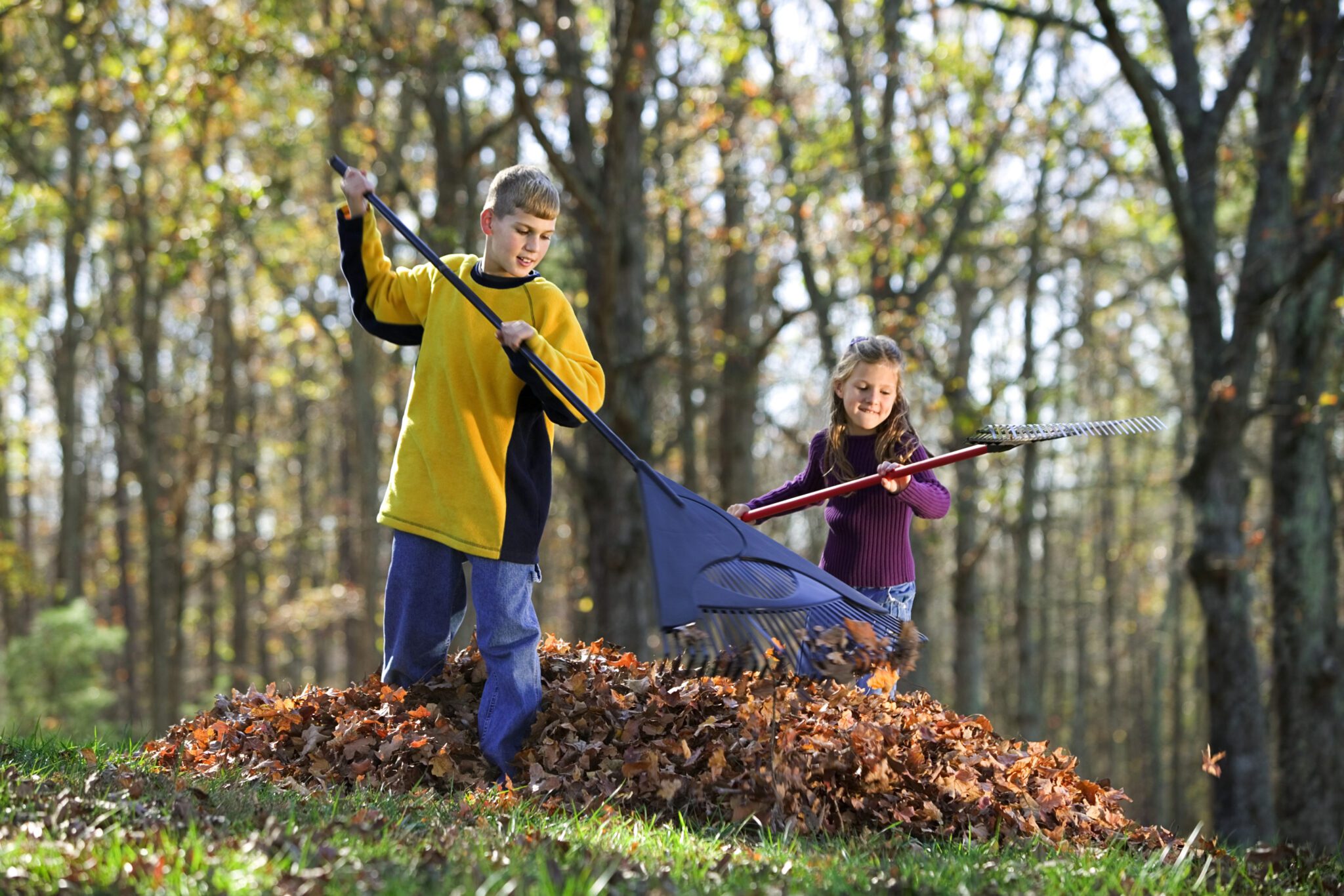 City To Begin Fall Leaf Collection Oct. 16 – Sheridan Media