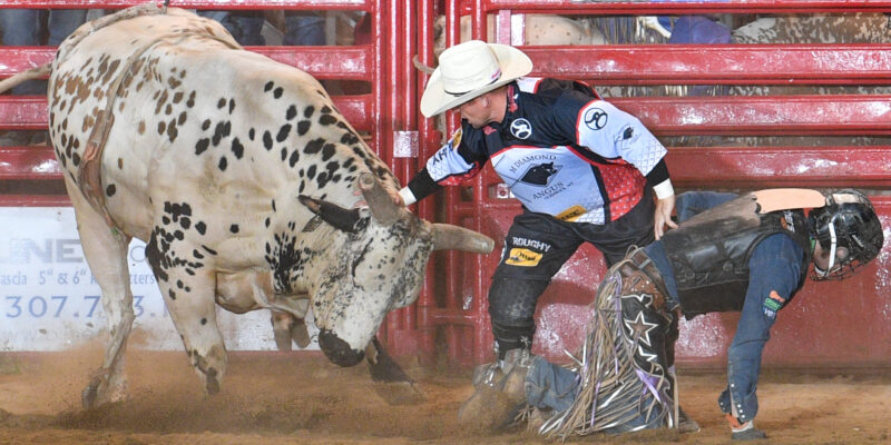 2023 | Those Who Participate In NFR And Compete In Sheridan Puts Sheridan WYO Rodeo In Good Light