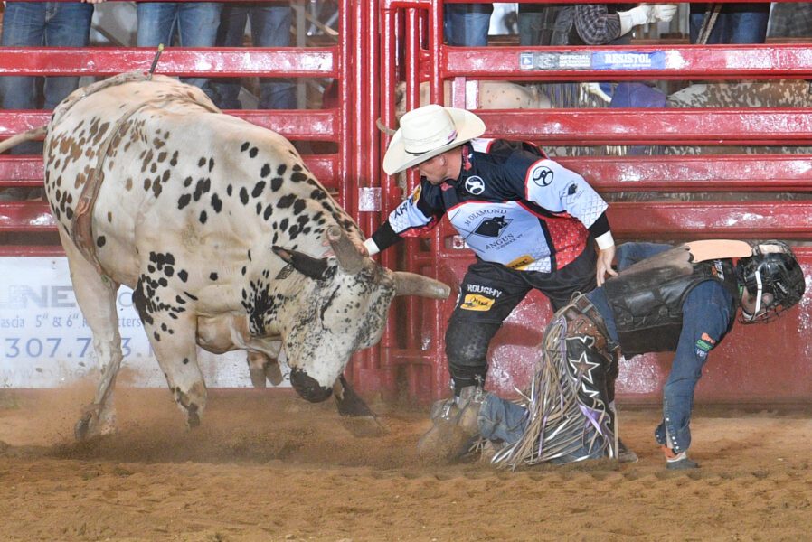 Rodeo Bull Riding Bull Fighter