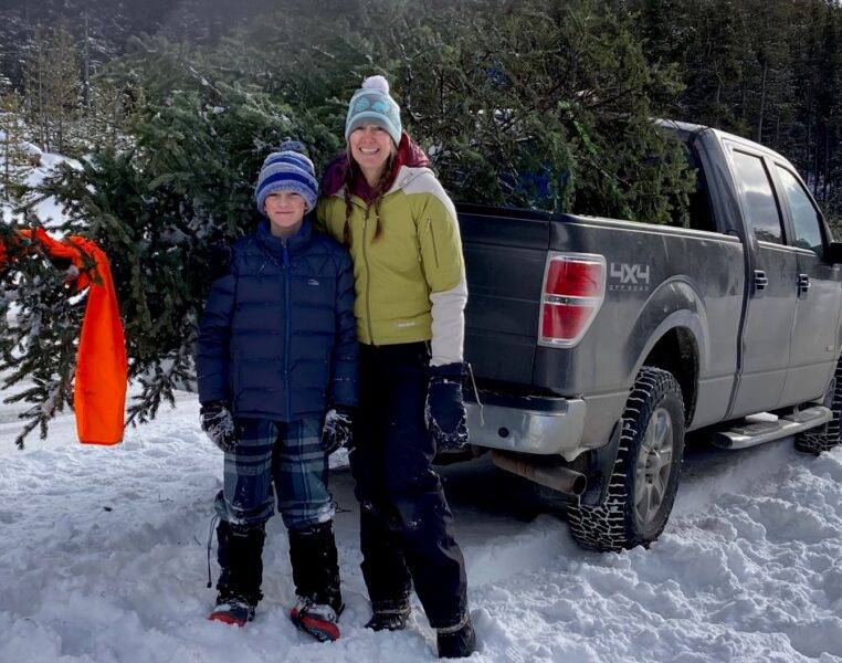 Bighorn National Forest Christmas Tree Permits Available Online