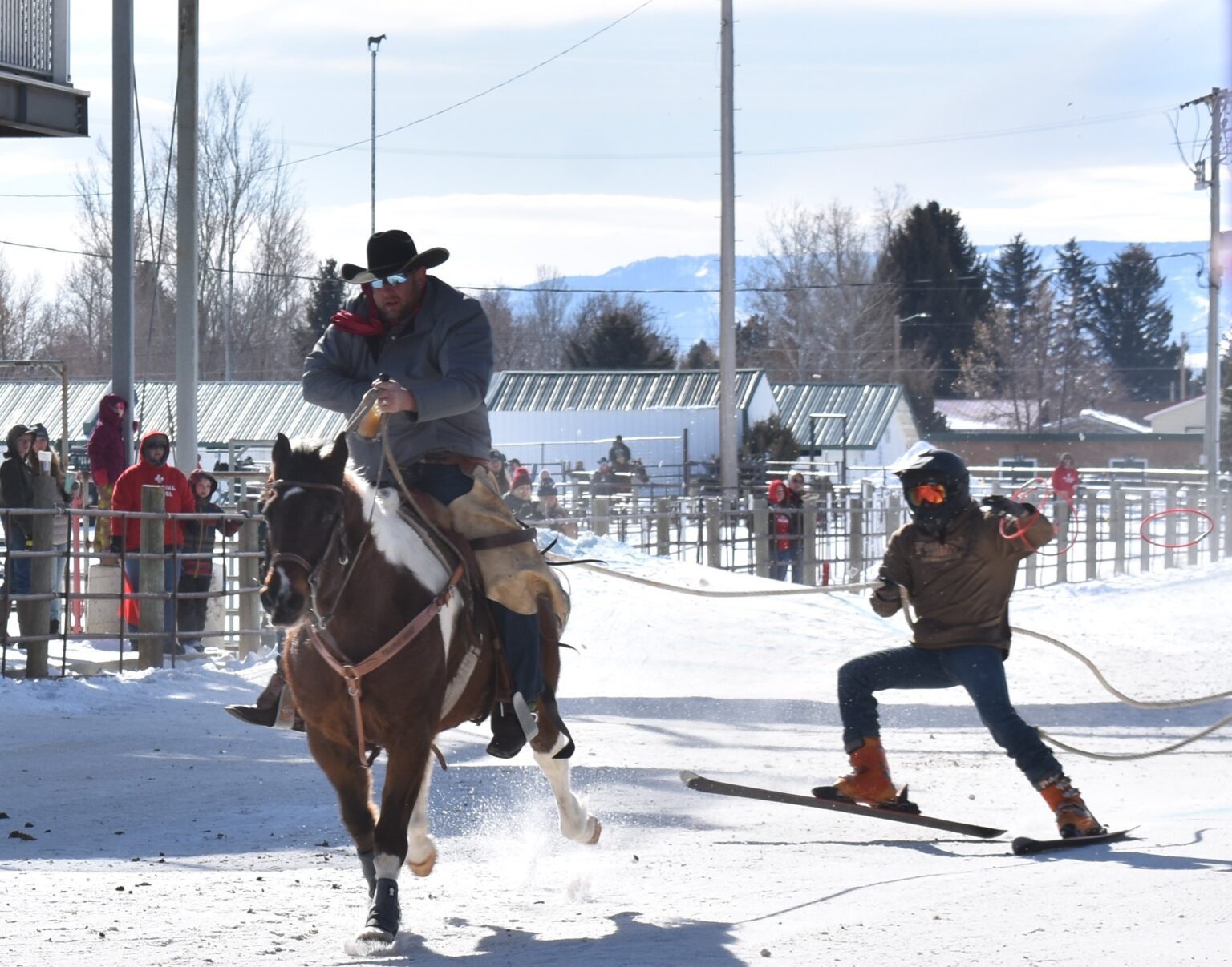 Brief History of Skijoring Sheridan Media