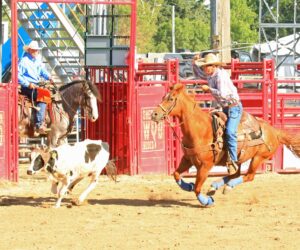 WYO Rodeo Steer Roping Slack