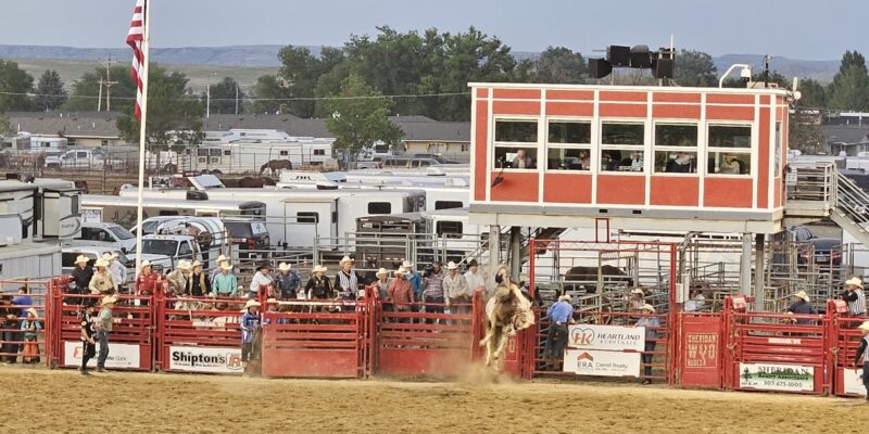 Sheridan WYO Rodeo Performance Results: July 10, 2024