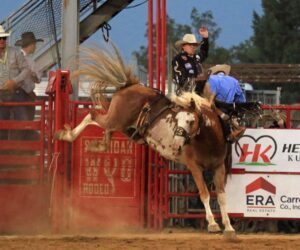 Wednesday WYO Rodeo Broncs