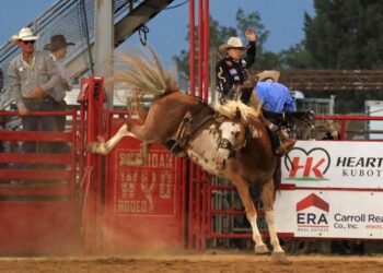 Wednesday WYO Rodeo Broncs