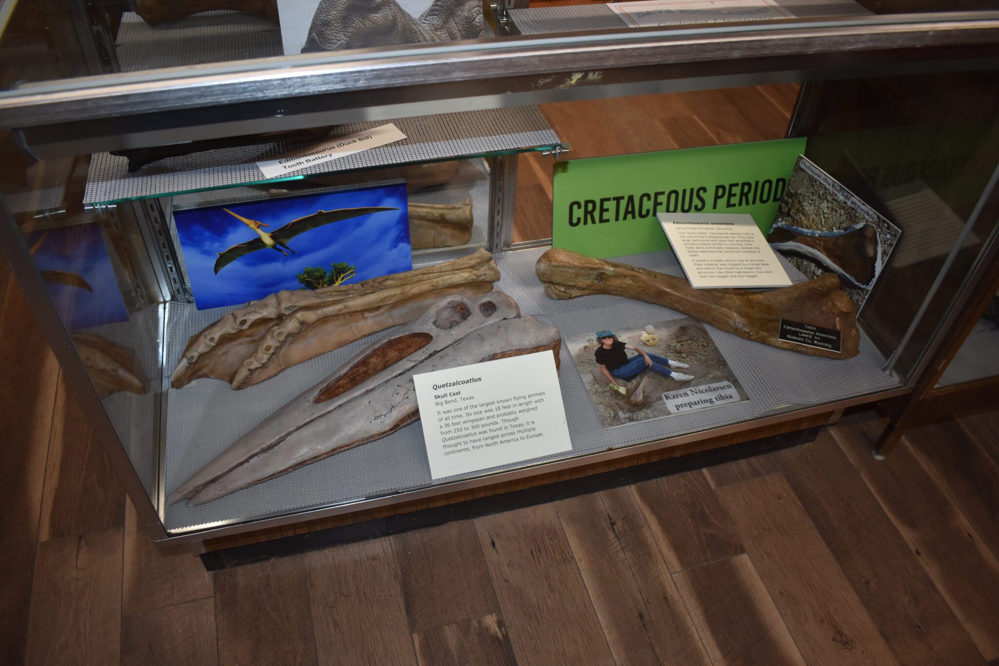 Natural History Program to be held at Clearmont Historical Center –  Sheridan Media