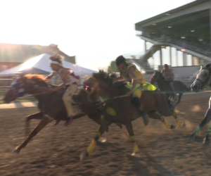 Sheridan WYO Rodeo: Unforgettable Rodeo Highlights