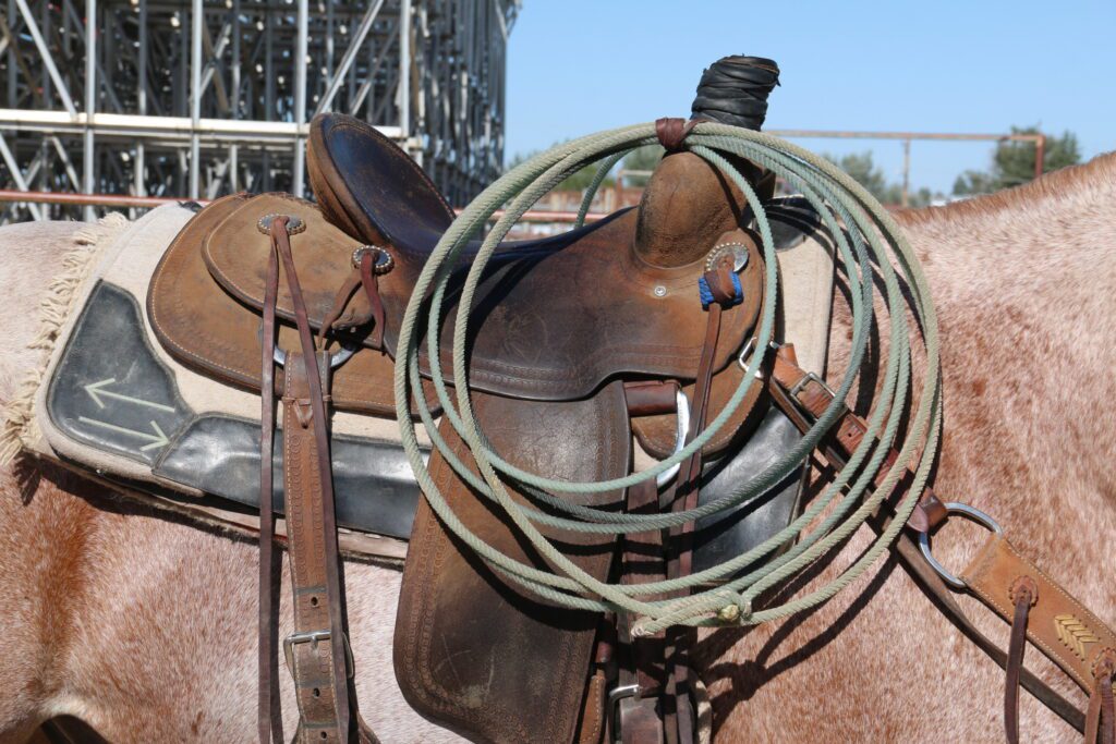 Colter Martin Rodeo Sheridan College Men’s Rodeo Team Places 8th; Women 7th At 2024 Lamar ...