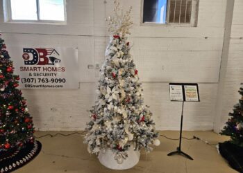 Sheridan Festival Of Trees 2024