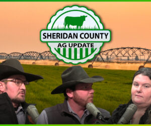 Sheridan County Ag Update with Best of the Rest Steer Riders