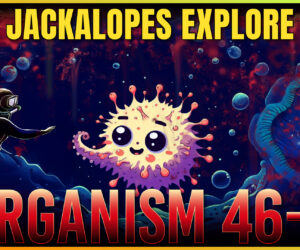 Jackalopes Explore Organism 46-B!
