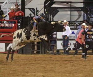 Saturday WYO Rodeo Stars Of Tomorrow