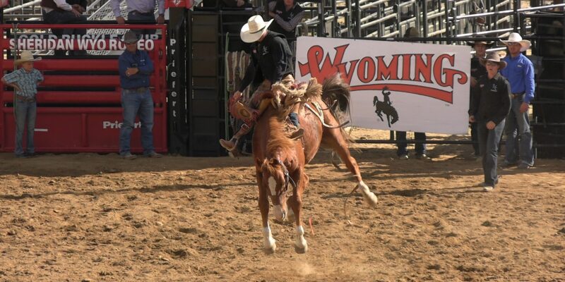 Sheridan College Men Place 2nd At 2025 Home Rodeo Event