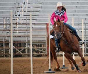 Sheridan County Fair pole bending