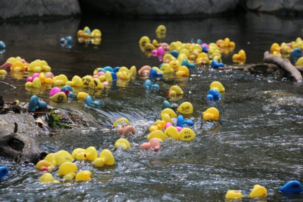 WYO Rodeo Duck Race Benefits Local Youth