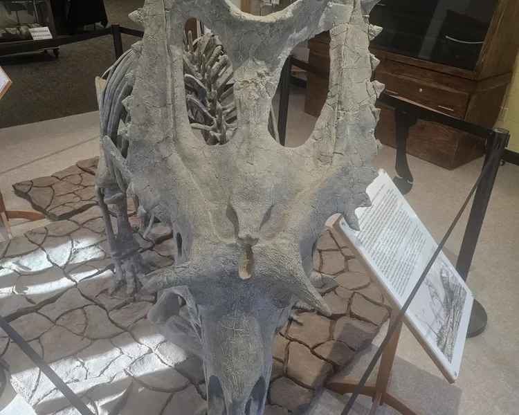 Natural History Museum of Wyoming Opens Second Location in Ranchester