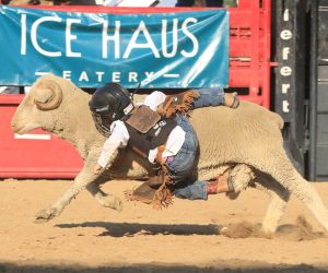 Mutton Busting
