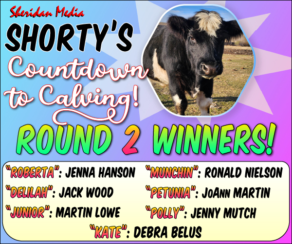 2026 Shortys round 2 Winners